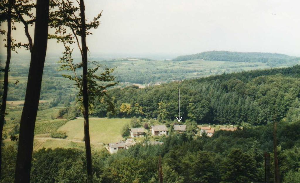 Ferienwohnung Unterschuetz Ettenheim Zewnętrze zdjęcie